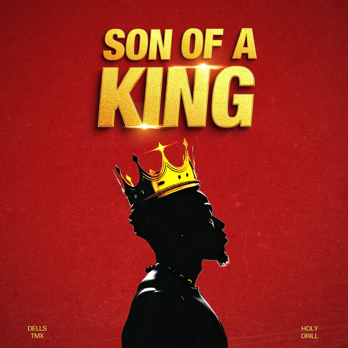Album cover of Son of a King