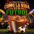 COMO LA VIDA SIN FUTBOL