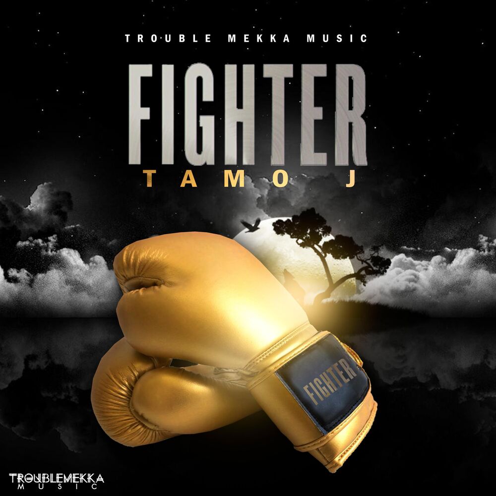 Picture of Fighter