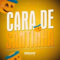 Cover of Cara de Santinha