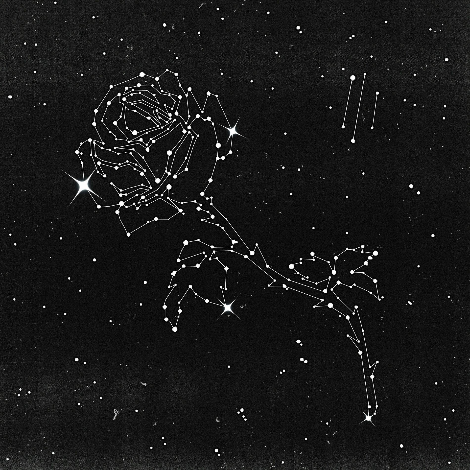 Album cover of TURNÀ