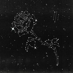 Cover of LIBERATO III