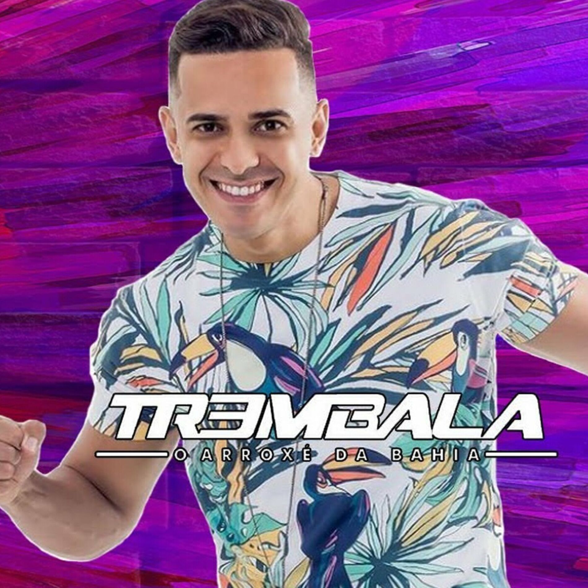 Album cover of Venha Venha 2010