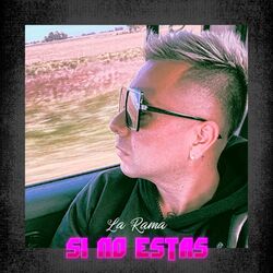 Cover of Si No Estás
