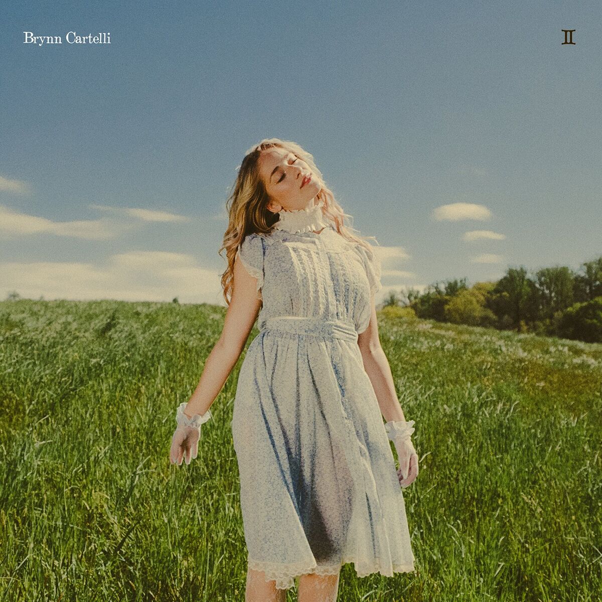 Album cover of Gemini