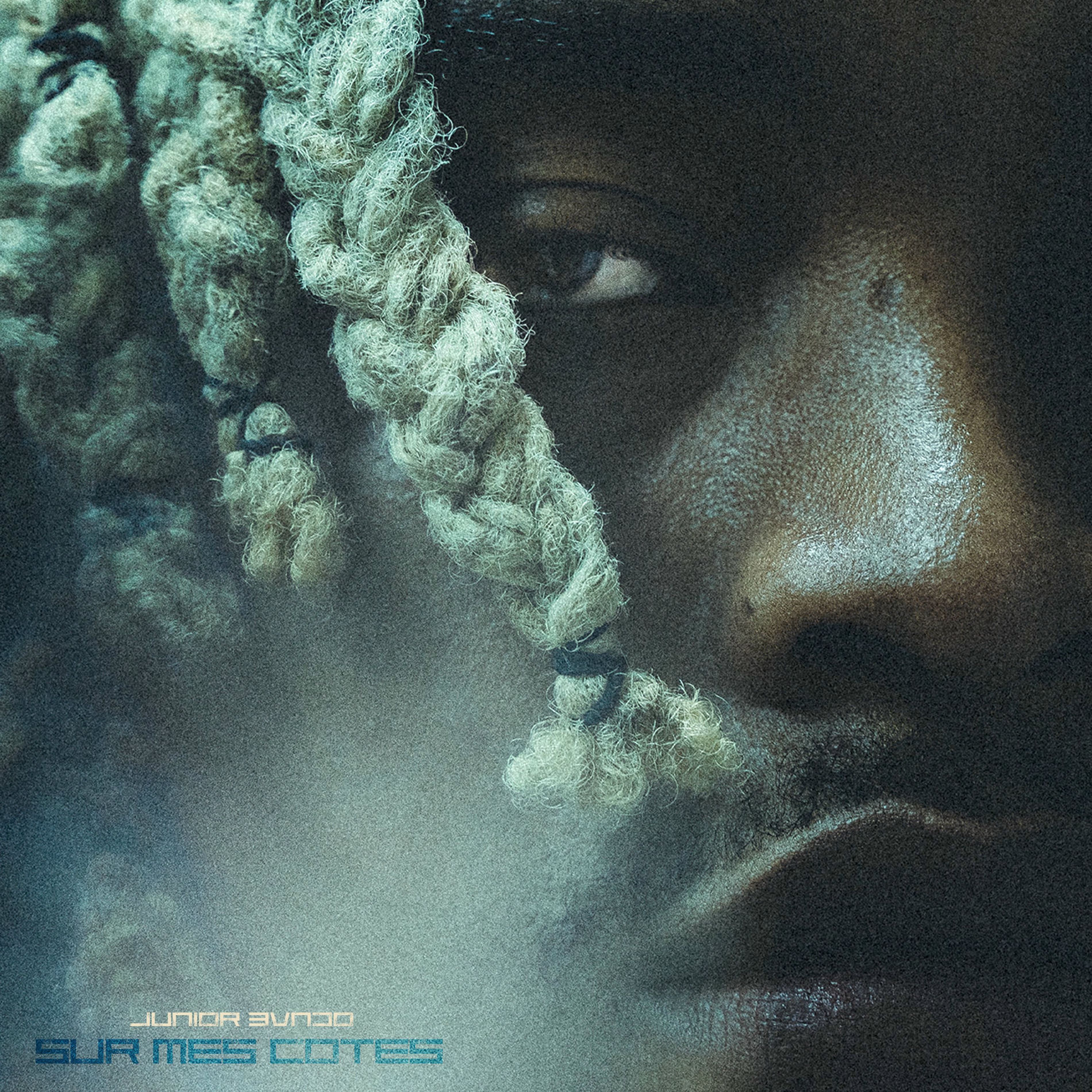 Album cover of Sur mes côtes