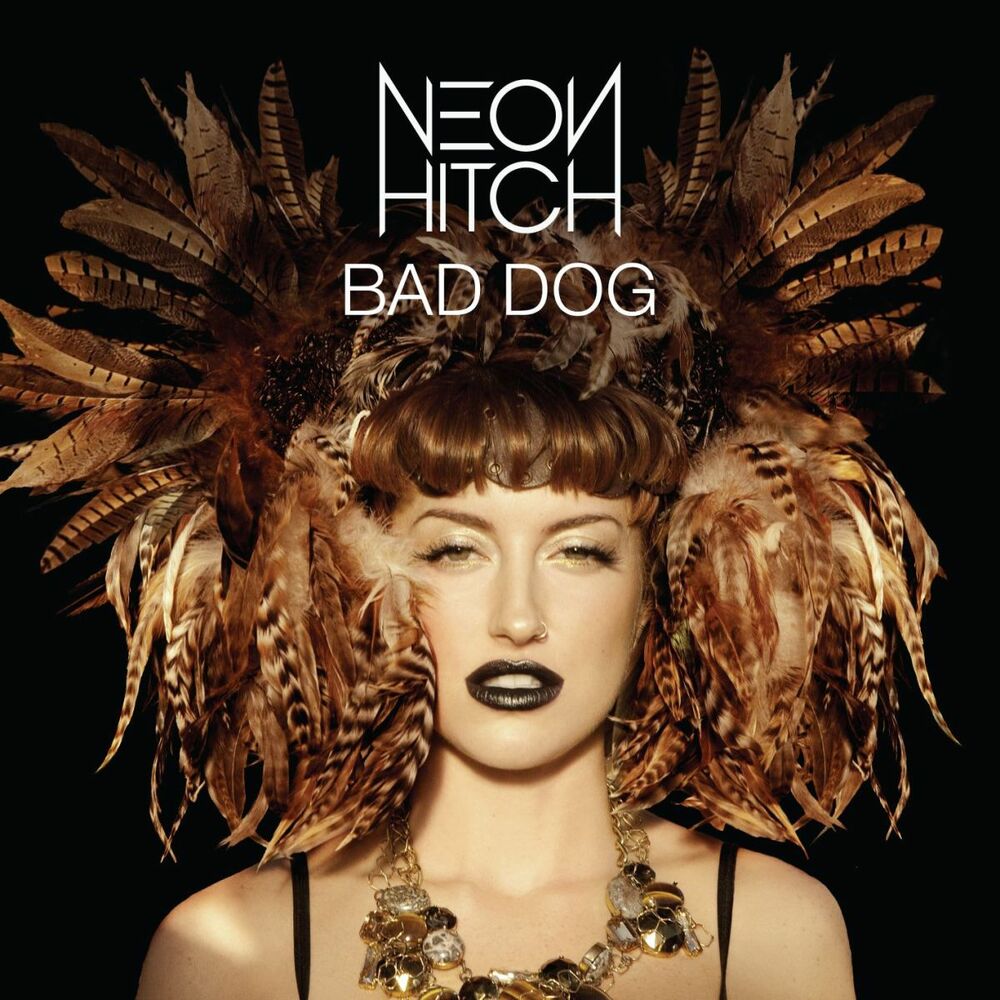 Picture of Bad Dog