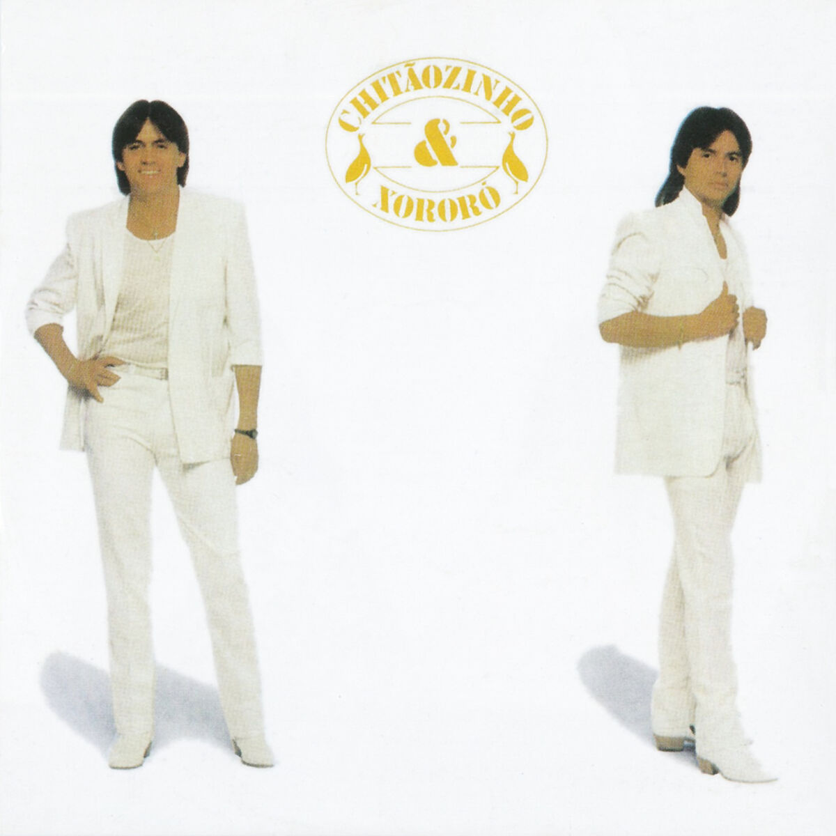 Album cover of Coração Quebrado