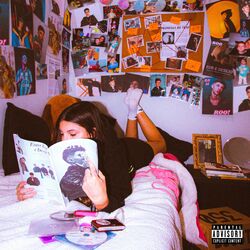 Cover of Devaneio