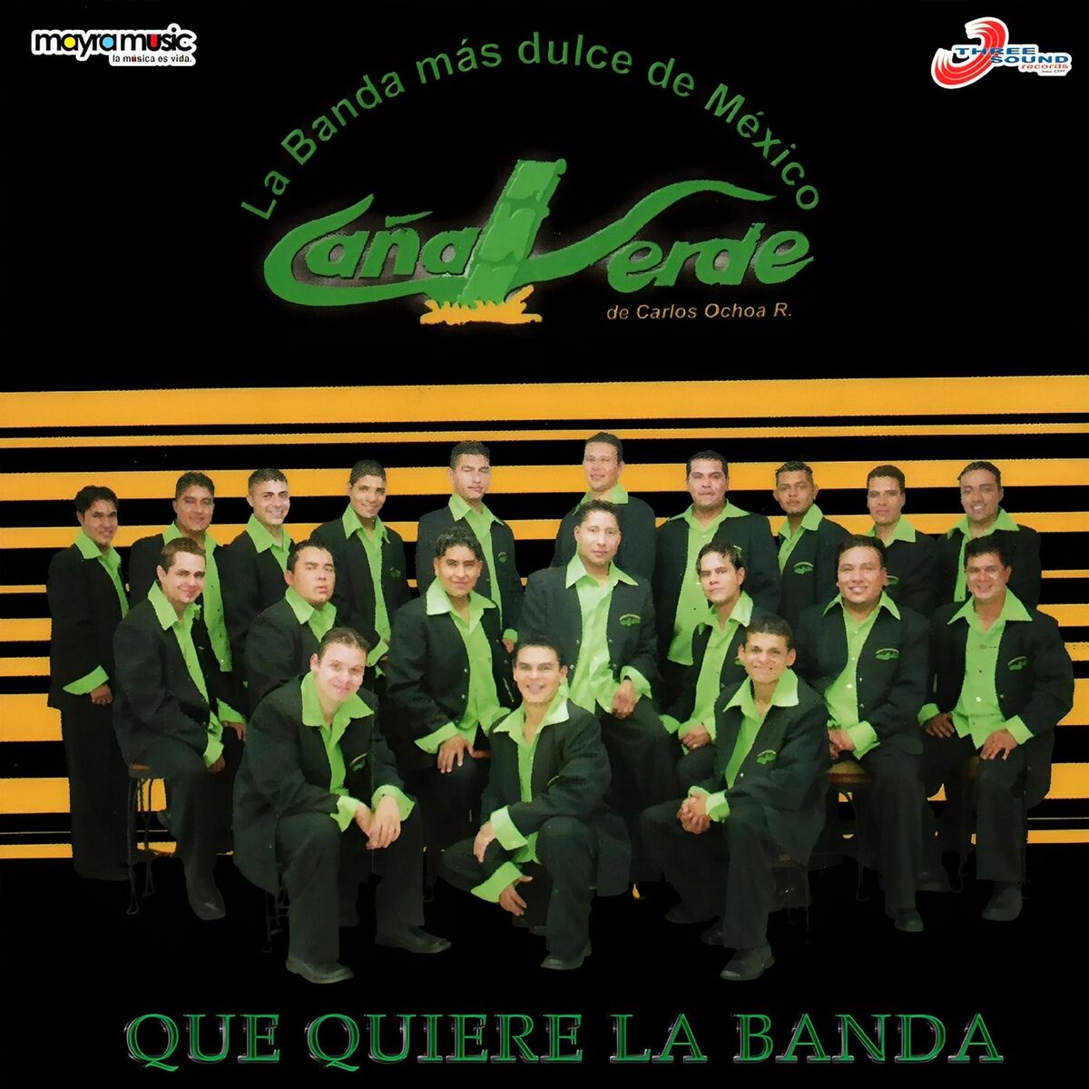 Album cover of Que Quiere la Banda