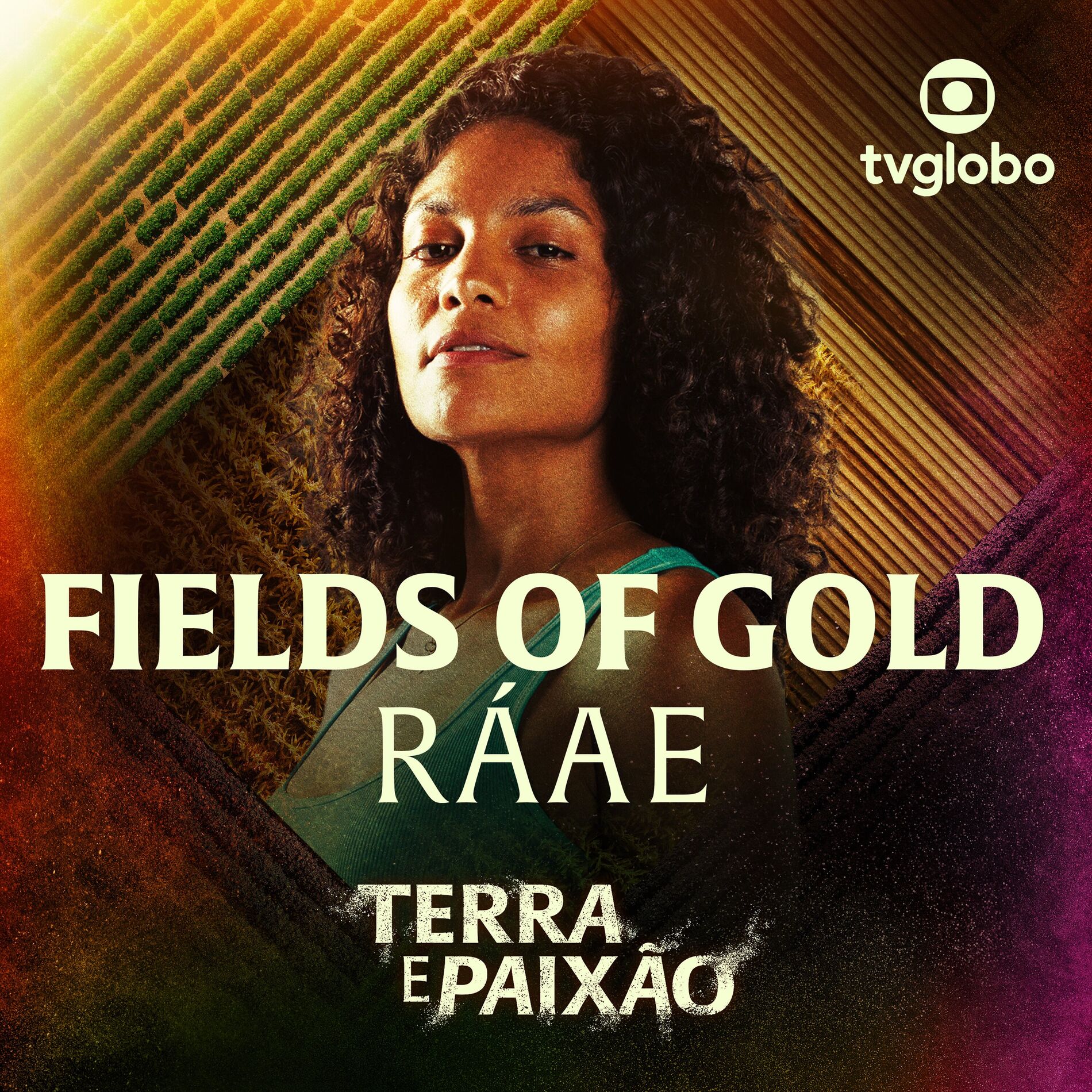 Album cover of Fields Of Gold (Terra e Paixão)