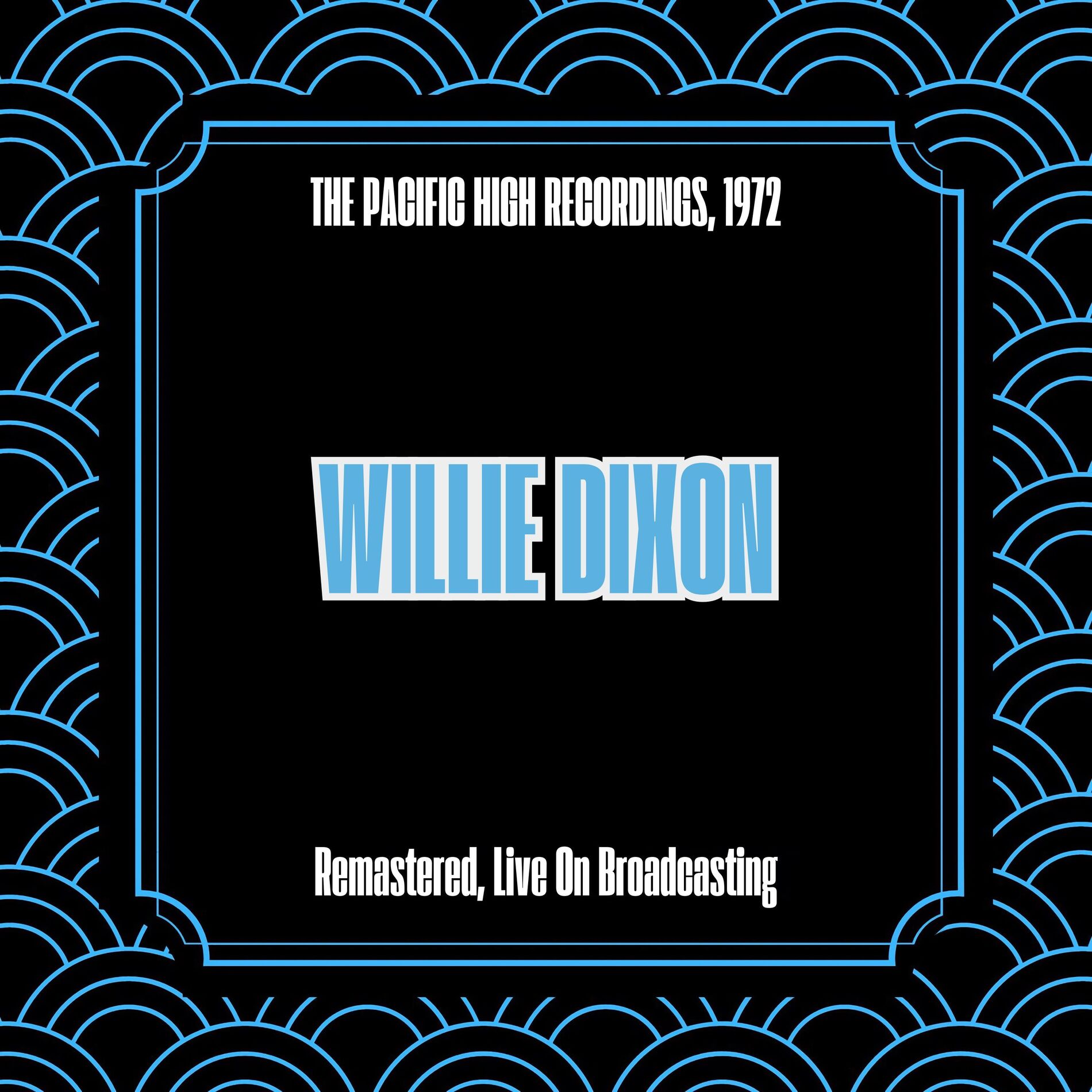 Album cover of At Chicago Blues Festival, 1980 (Remastered, Live On Broadcasting)