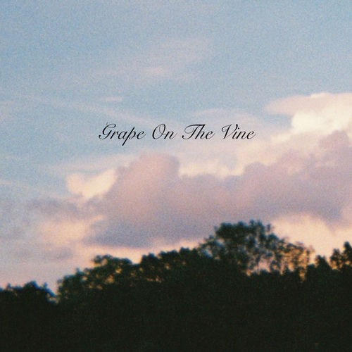 Grape on the Vine artwork