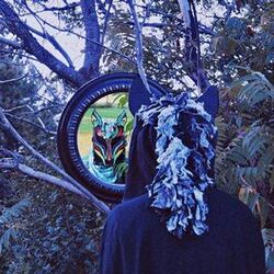 Cover of Human Nature