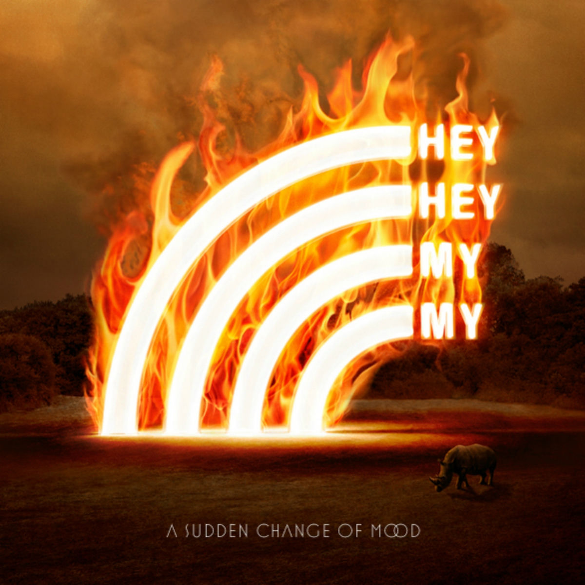 Album cover of We're Not Meant to Last