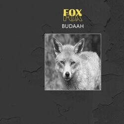 Cover of Fox
