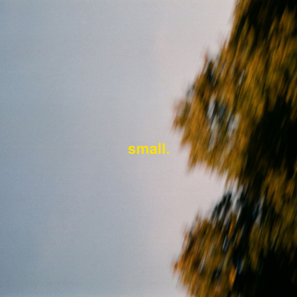 Album cover of Small