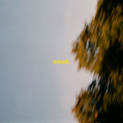 Cover of Small