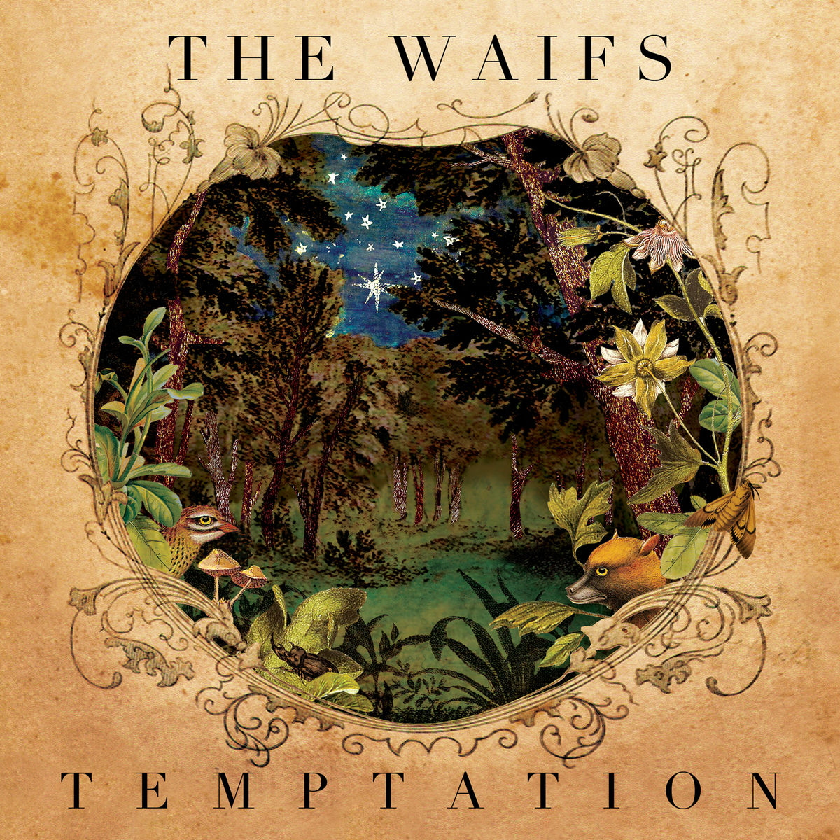 Album cover of Temptation