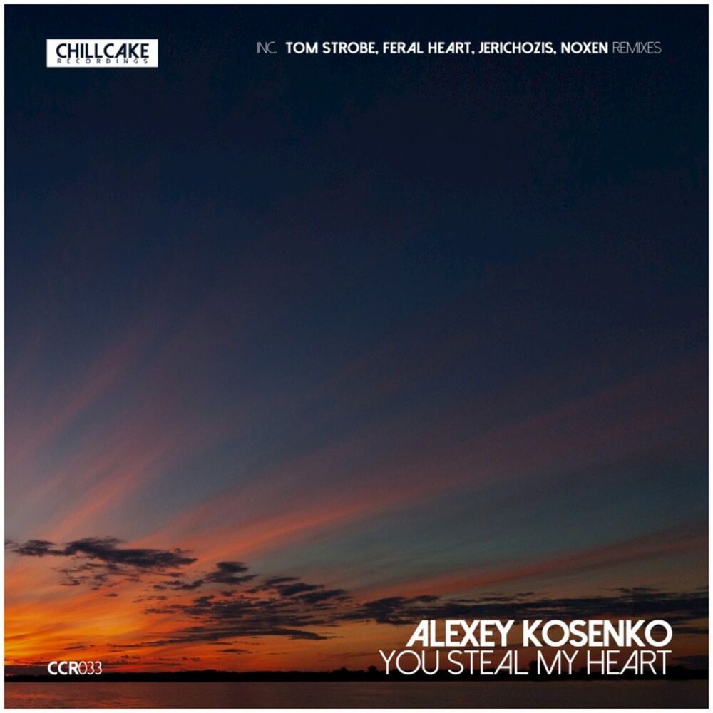 Picture of You Steal My Heart (Remixes)