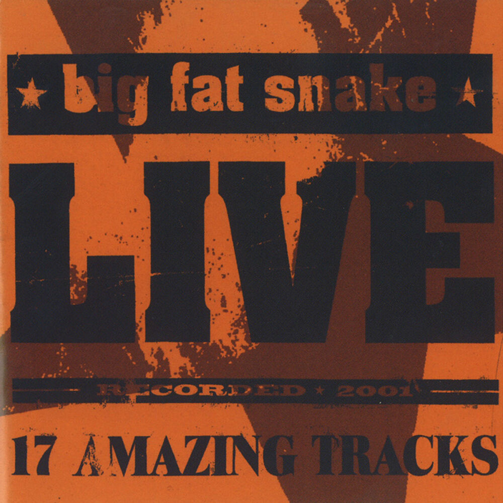 Picture of Live (17 Amazing Tracks)