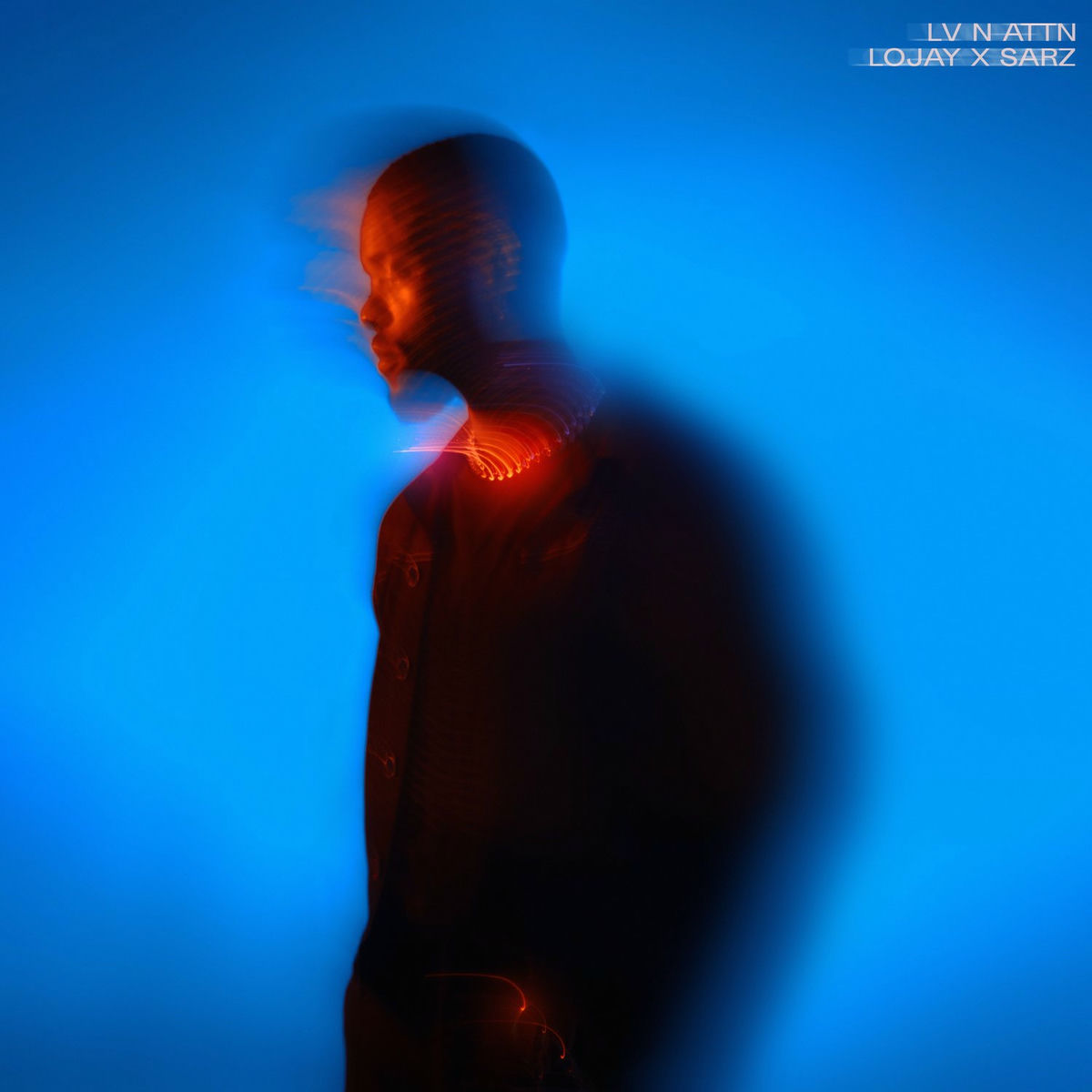 Album picture of LV N ATTN