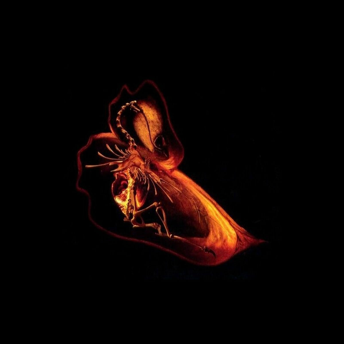Album cover of Gnayse