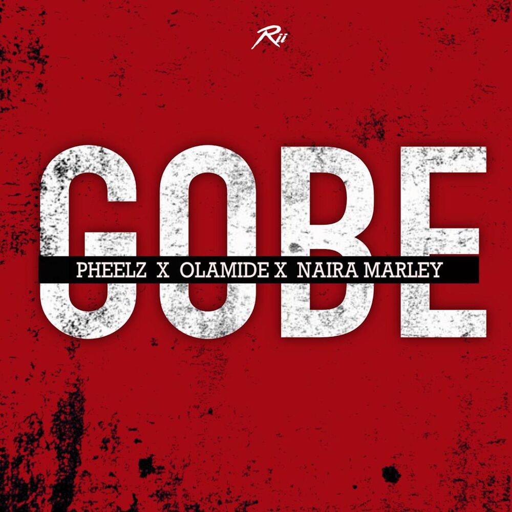 Picture of Gobe