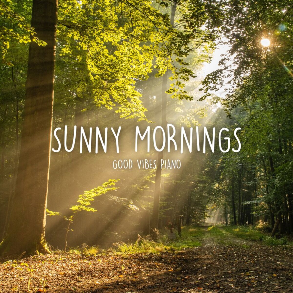 Album cover of Sunny Mornings