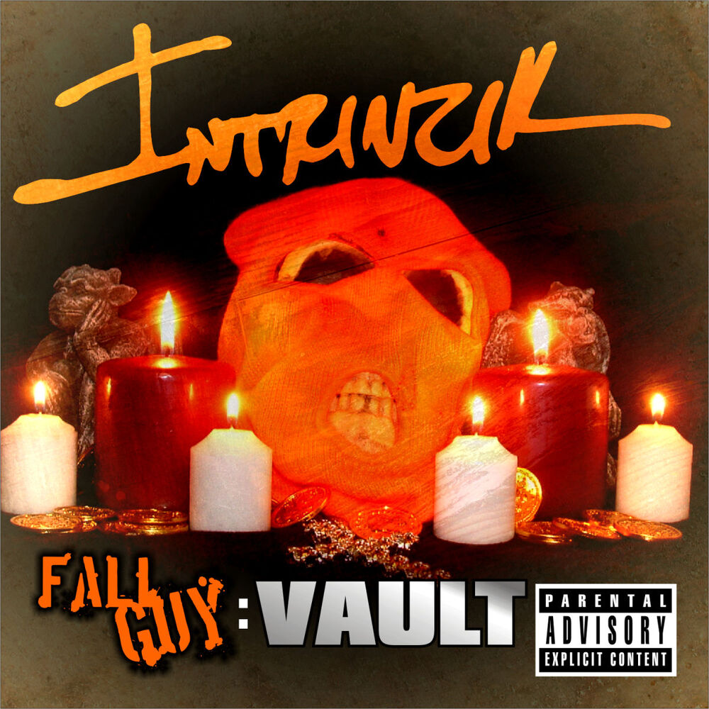 Picture of Fallguy Vault