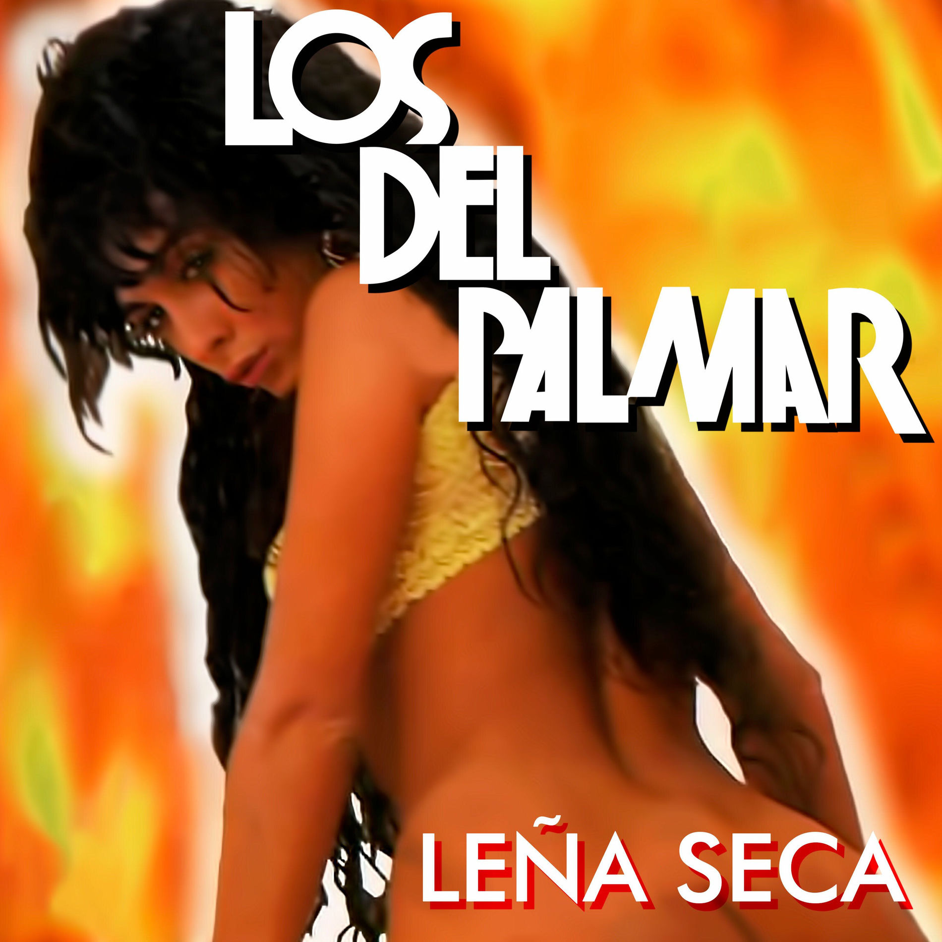 Album picture of Leña seca
