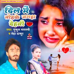 Cover of Dil Me Tohke Jagaha Dehni