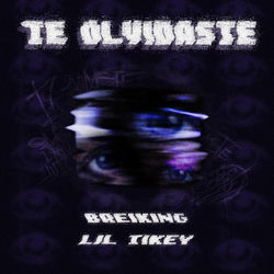 Cover of TE OLVIDASTE by undefined