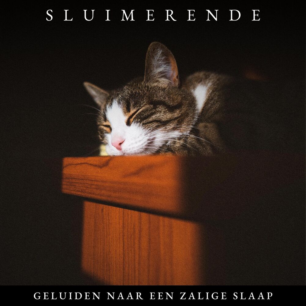 Picture of Sluimerende Geluiden naar een Zalige Slaap
