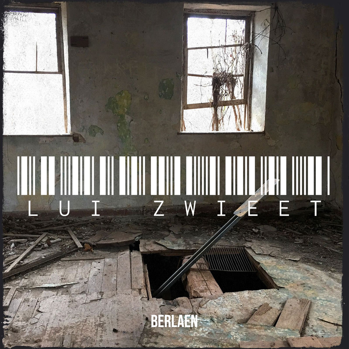 Album cover of Lui Zwieet