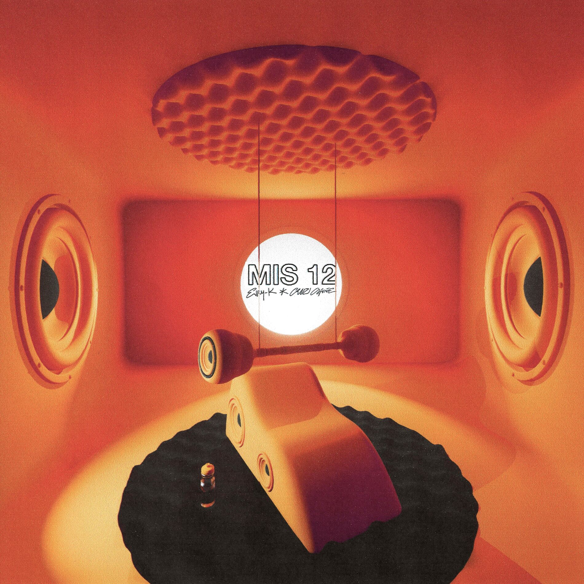Album cover of MIS 12