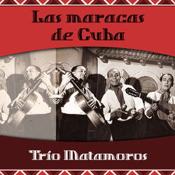 Cover of Las maracas de Cuba