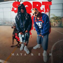 Cover of SQRT