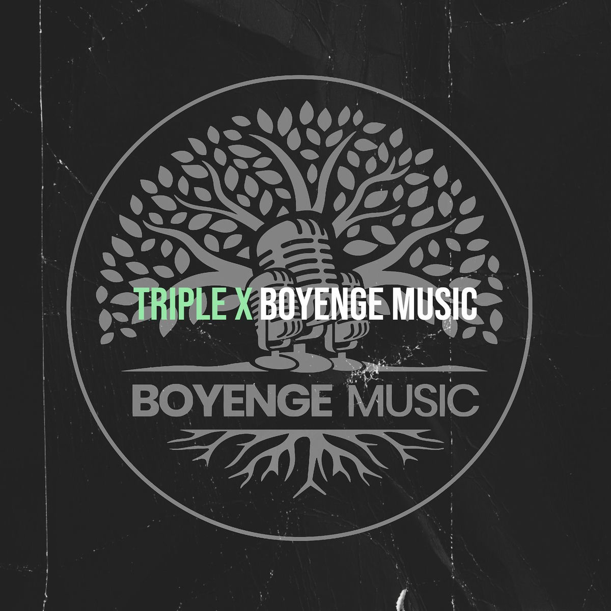 Album cover of Triple X