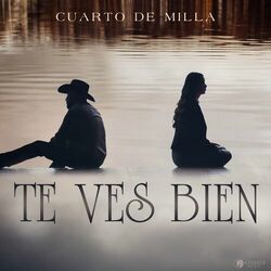 Cover of Te Ves Bien