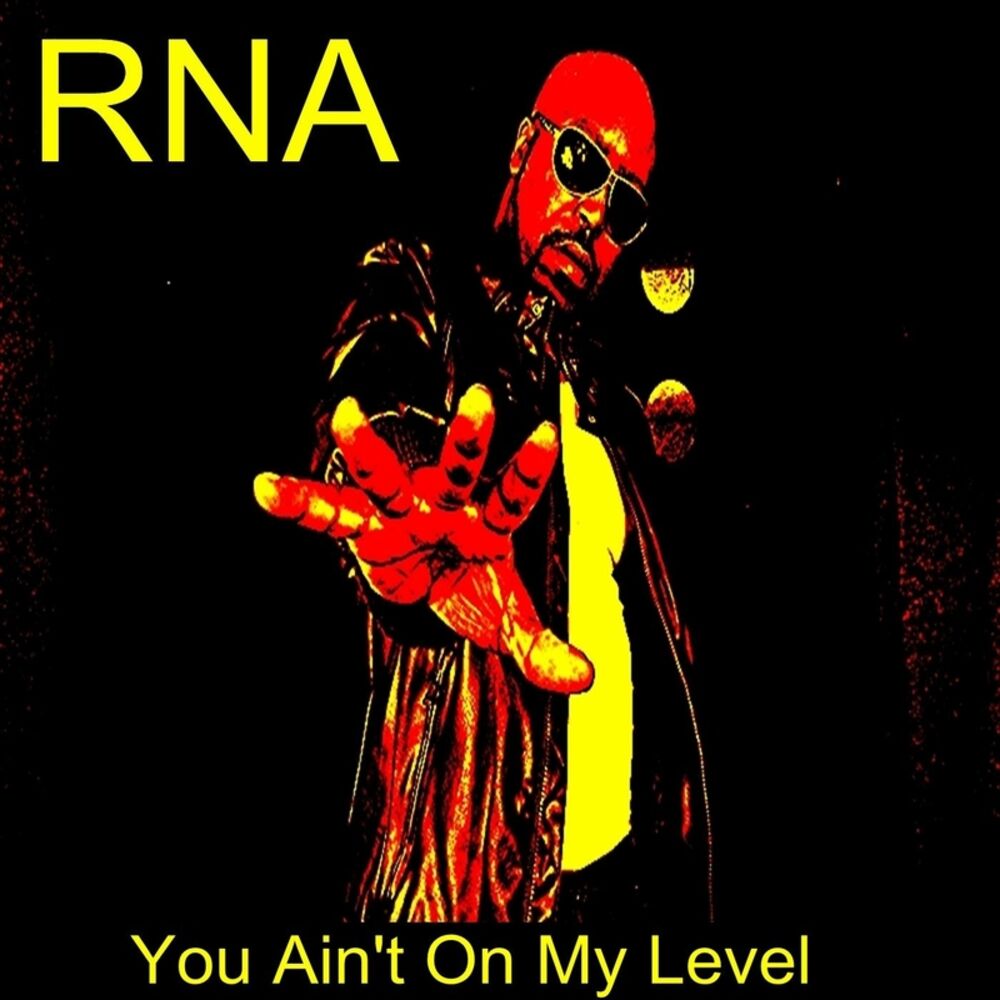 Picture of You Ain't On My Level