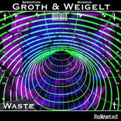 Cover of Waste