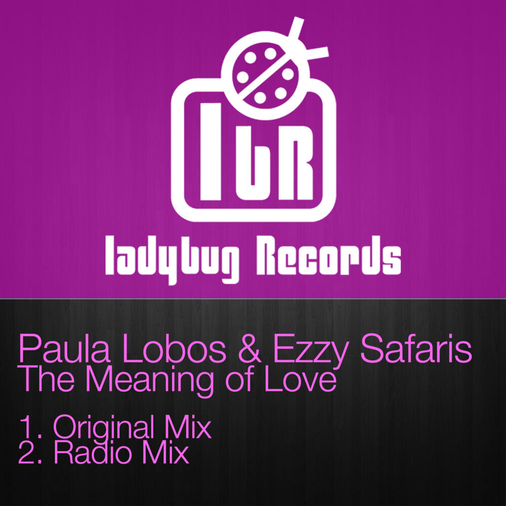 Picture of The Meaning of Love