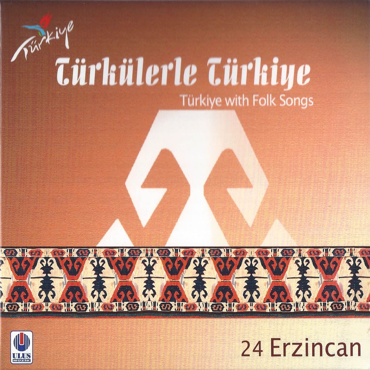 Album cover of Nasıl Yar Diyeyim