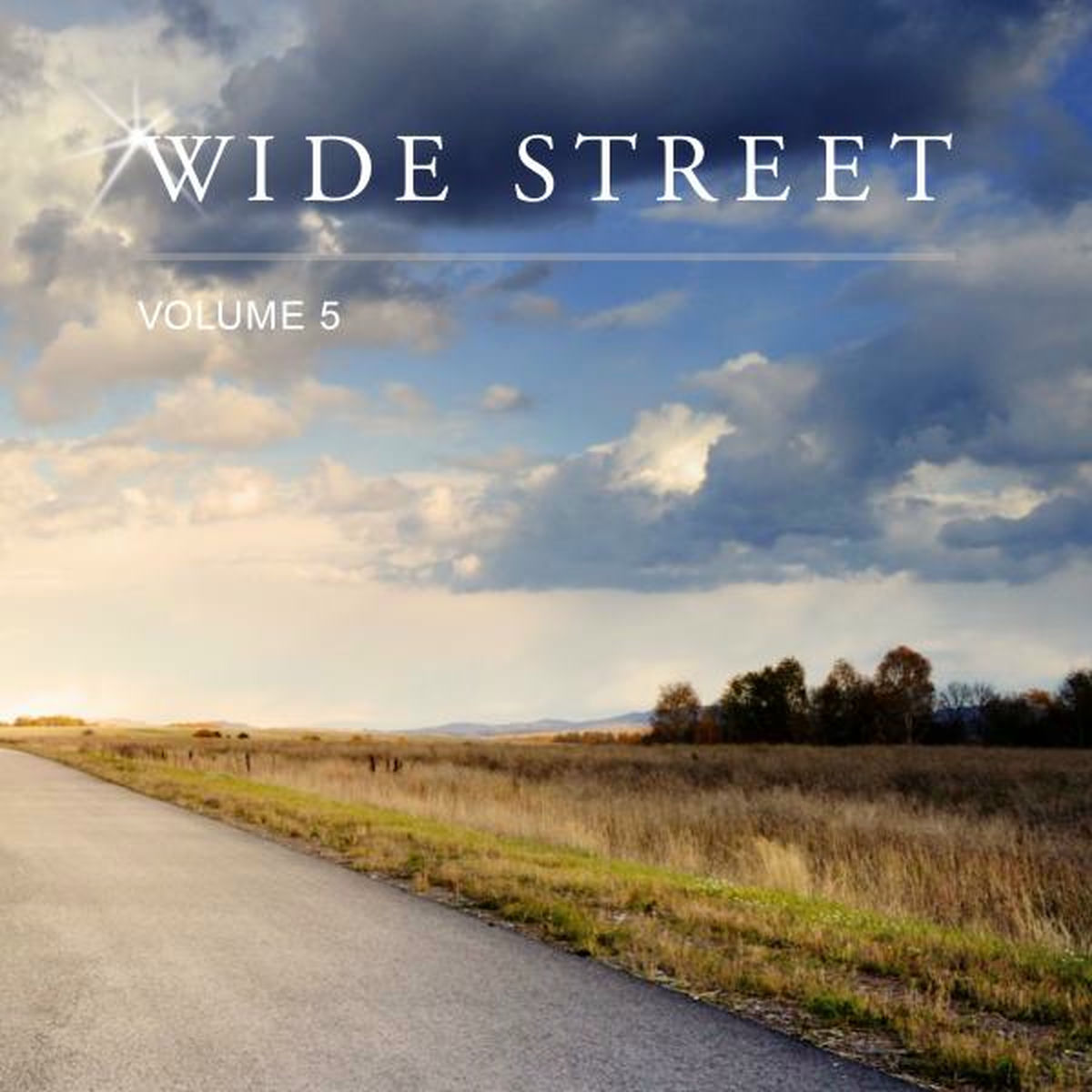 Album cover of Wide Street, Vol. 5