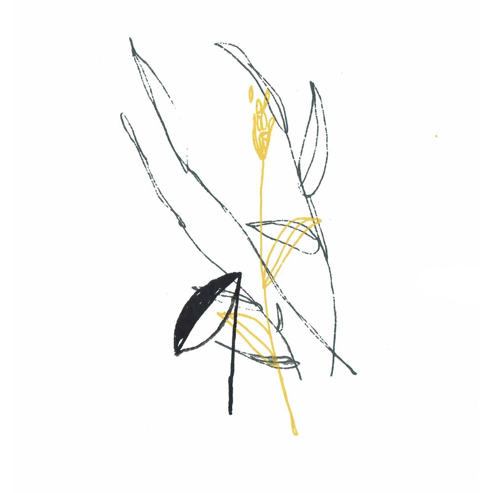 Picture of Slow Spark, Soft Spoke