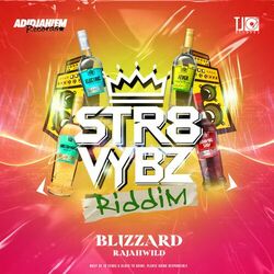 Cover of Blizzard