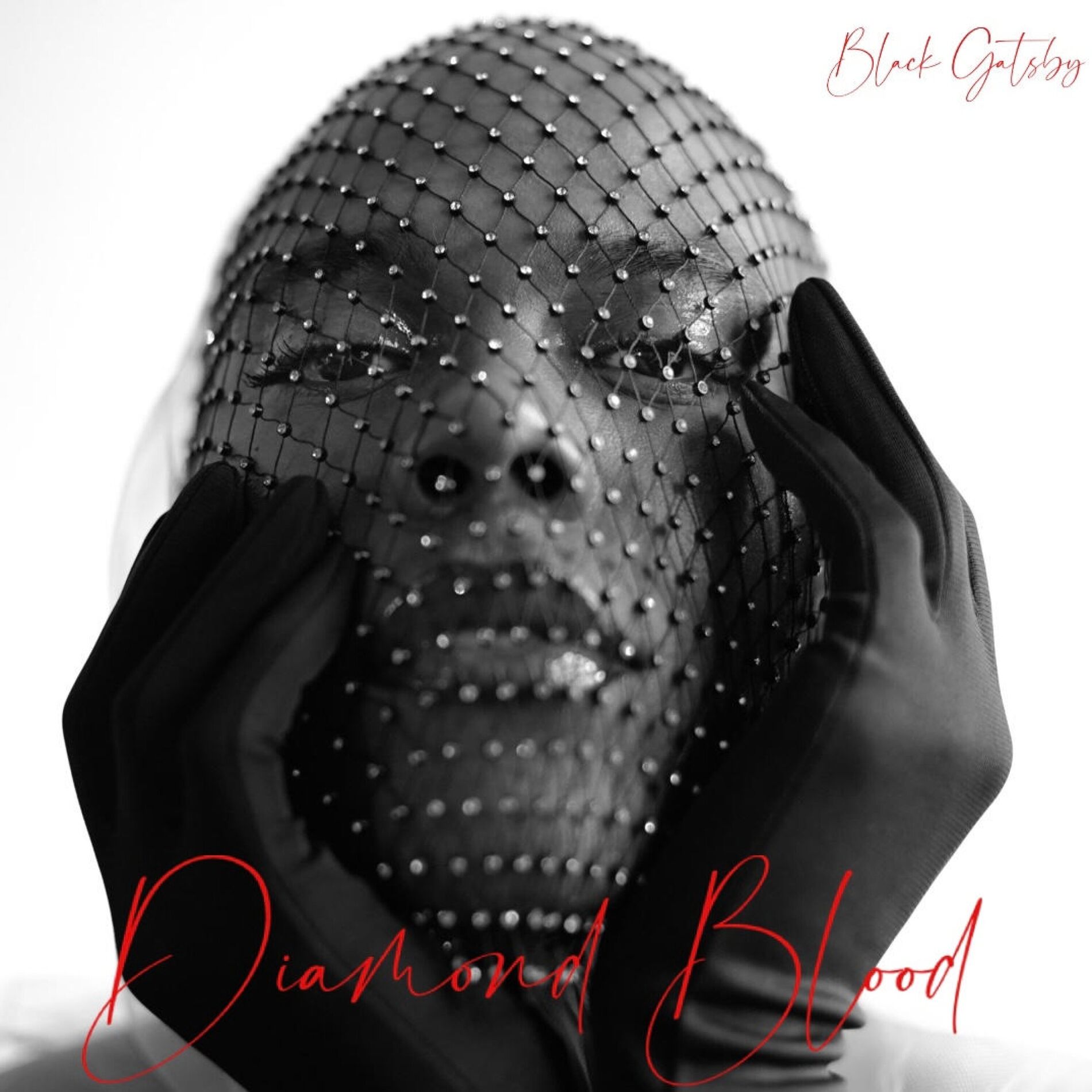 Album cover of DIAMOND BLOOD