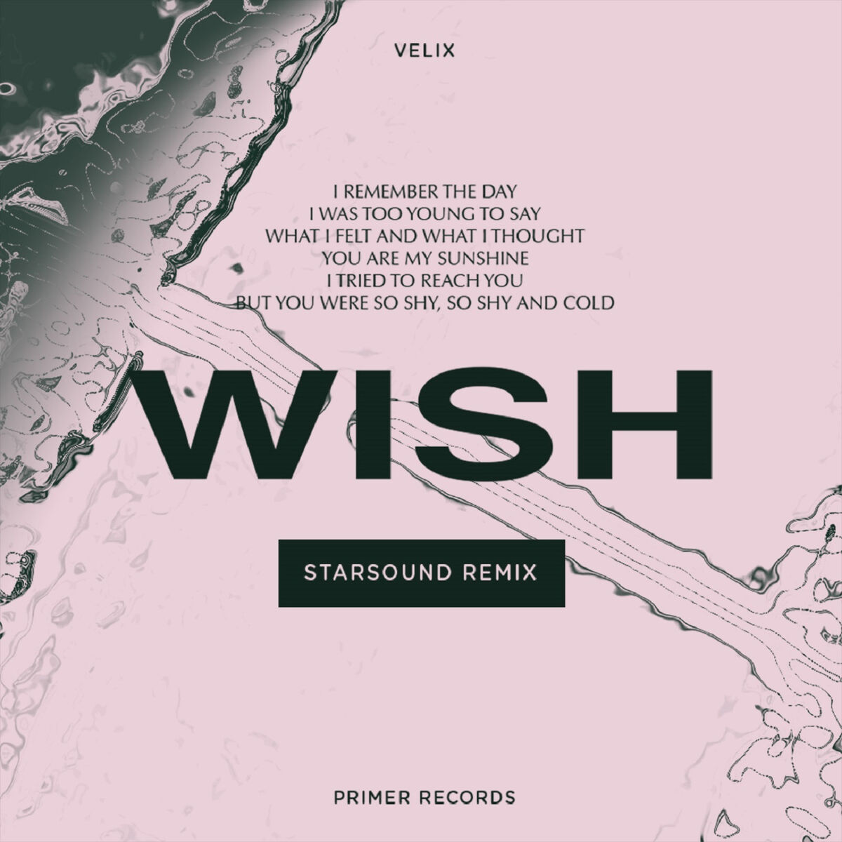 Album cover of Wish (Starsound Remix)