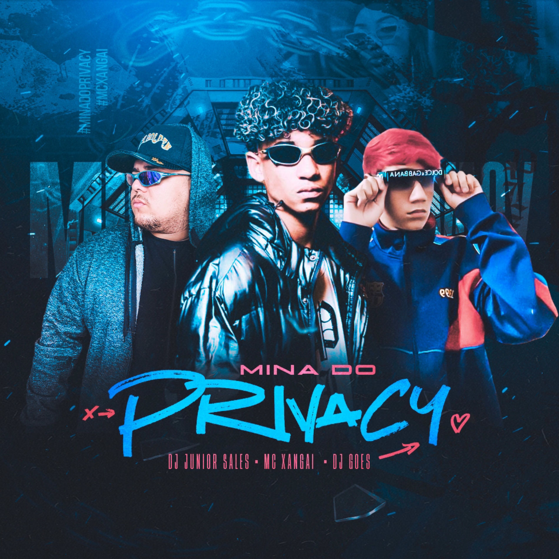 Album cover of Mina do Privacy
